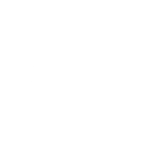 Wise tech